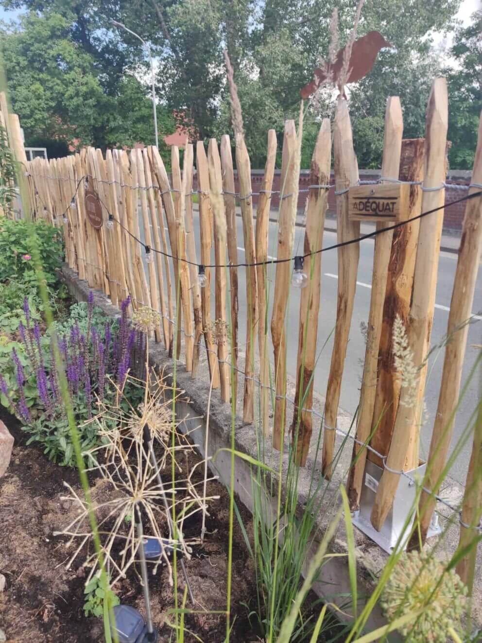 Clôture ganivielle française en bois de châtaignier de 80 cm de hauteur et avec un espacement de 4 cm. entre les lattes.