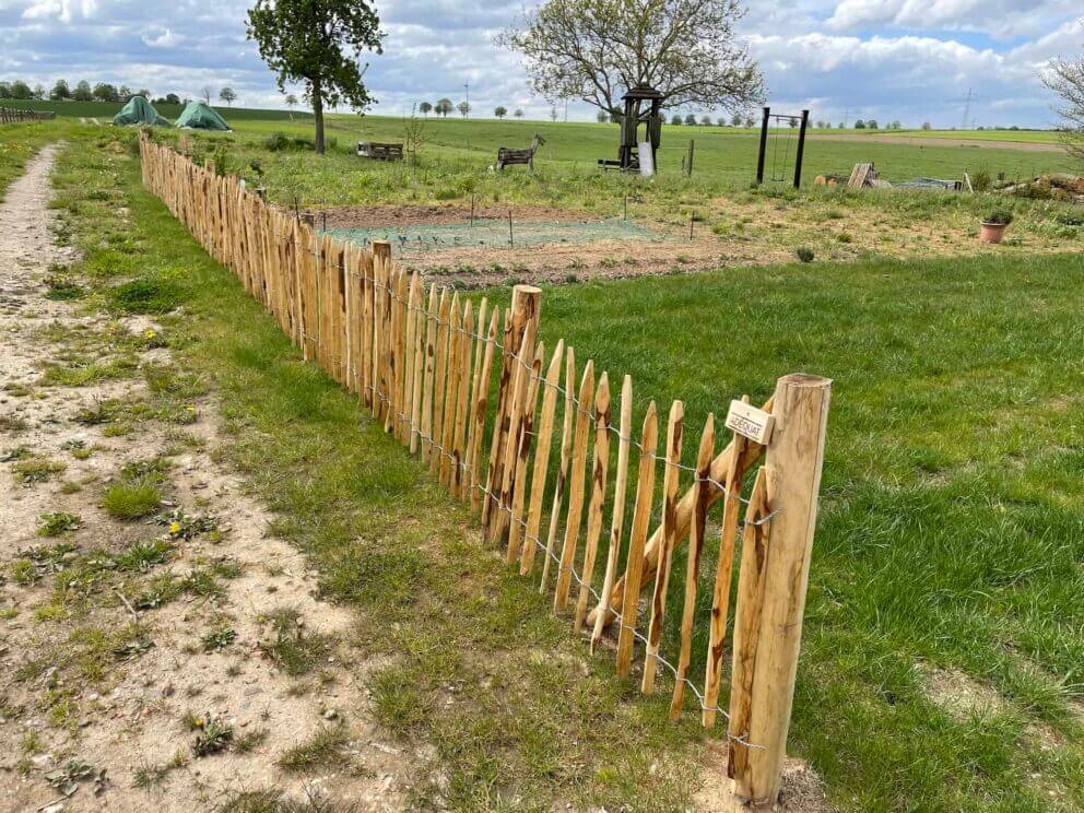 Clôture ganivielle française en bois de châtaignier de 80 cm de hauteur et avec un espacement de 6 cm. entre les lattes.