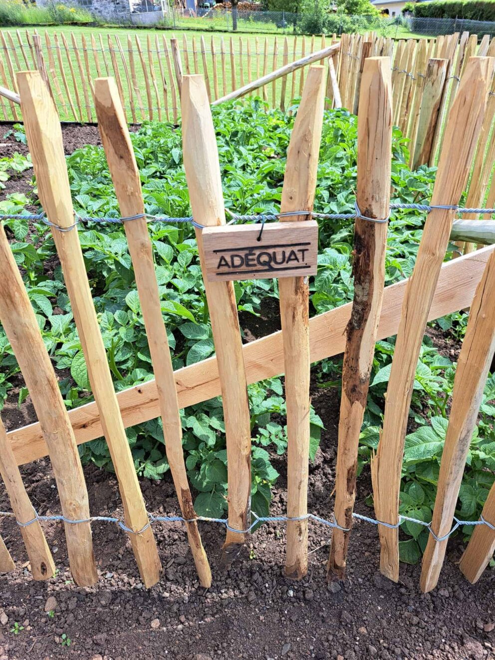 Clôture ganivielle française en bois de châtaignier de 80 cm de hauteur et avec un espacement de 4 cm. entre les lattes.