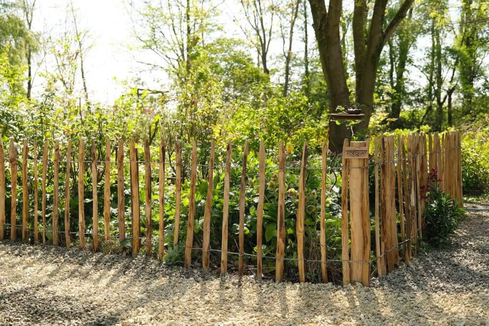 Clôture ganivielle française en bois de châtaignier de 80 cm de hauteur et avec un espacement de 8 cm. entre les lattes.