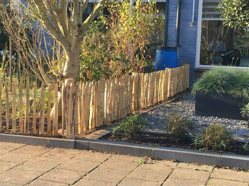 Clôture ganivielle française en bois de châtaignier de 50 cm de hauteur et avec un espacement de 4 cm entre les lattes.