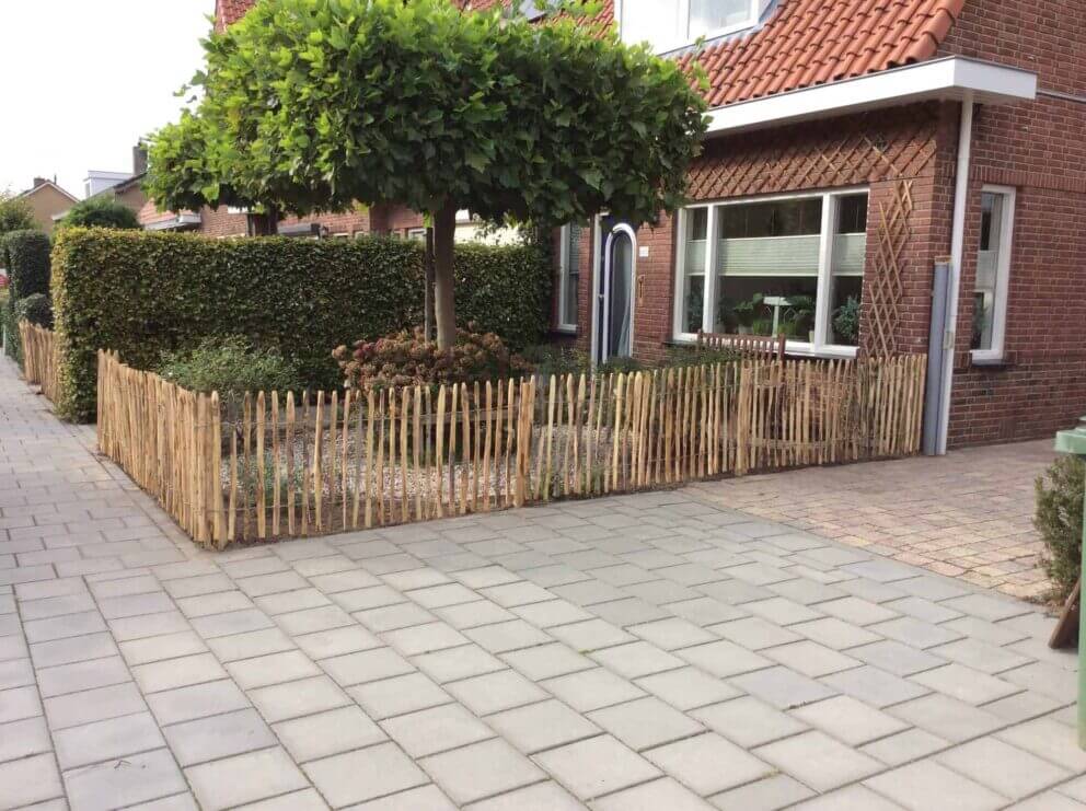 Clôture ganivielle française en bois de châtaignier de 80 cm de hauteur et avec un espacement de 4 cm. entre les lattes.