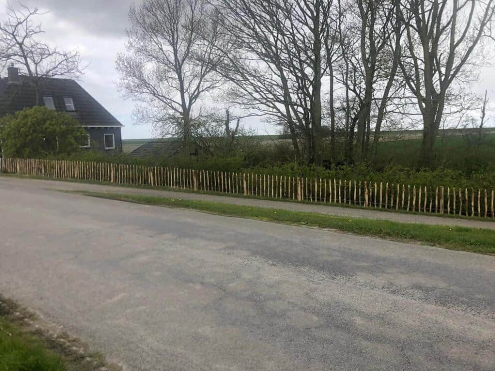 Clôture ganivielle française en bois de châtaignier de 80 cm de hauteur et avec un espacement de 10 cm. entre les lattes.