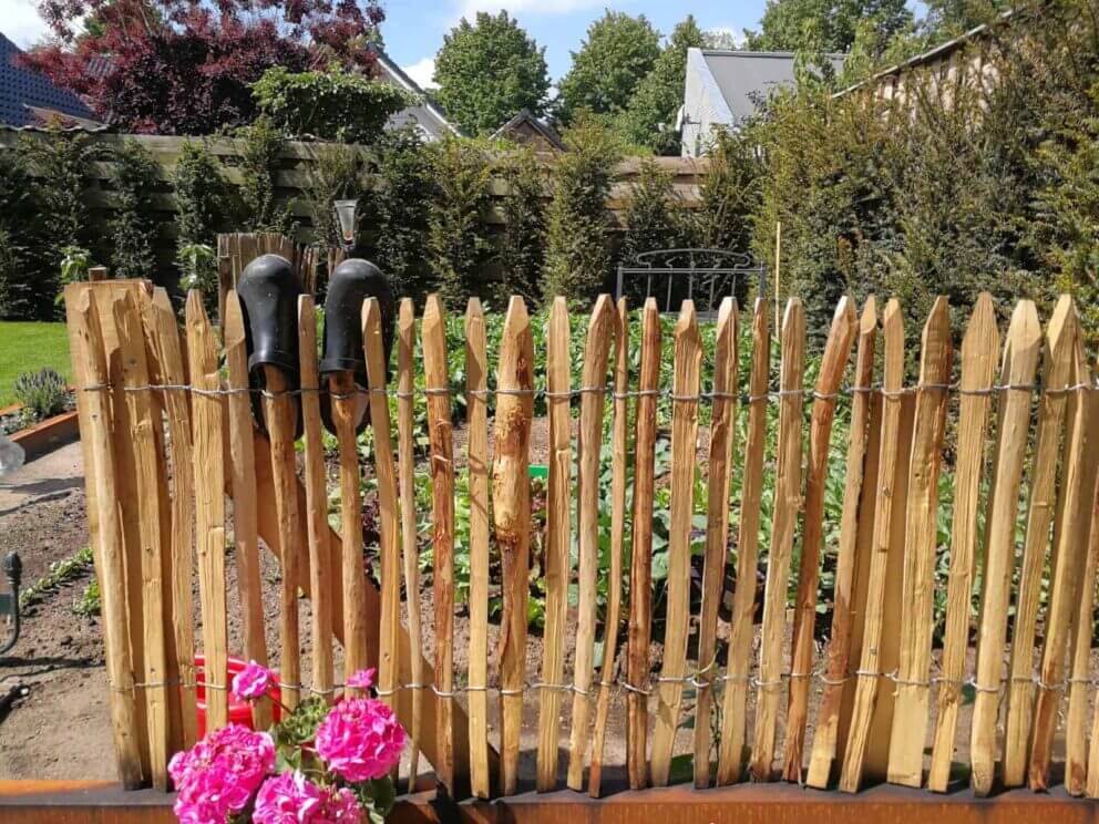 Clôture ganivielle française en bois de châtaignier de 80 cm de hauteur et avec un espacement de 2 cm. entre les lattes.