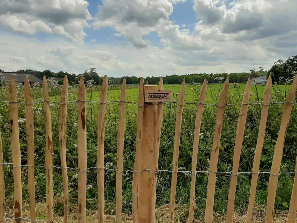 Clôture ganivielle française en bois de châtaignier de 100 cm de hauteur et avec un espacement de 6 cm. entre les lattes.