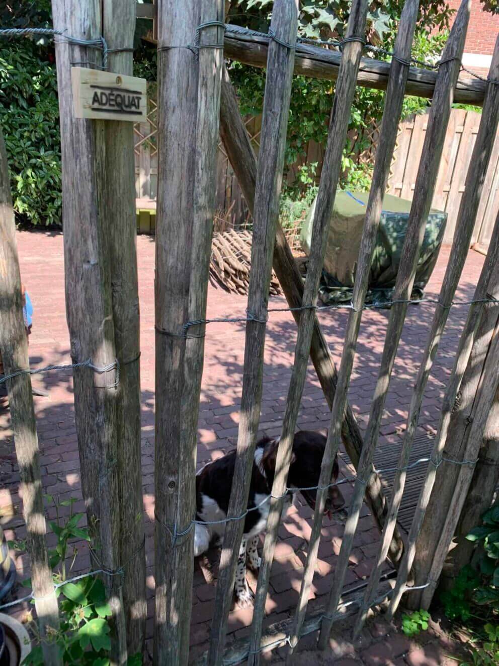 Clôture ganivielle française en bois de châtaignier de 100 cm de hauteur et avec un espacement de 10 cm. entre les lattes.