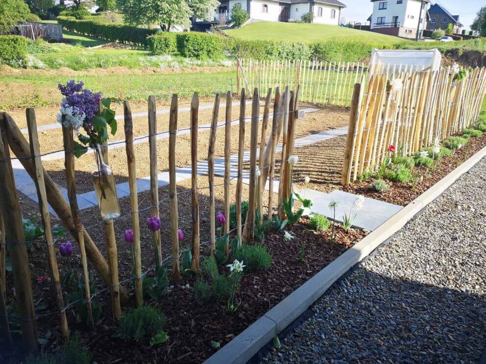 Clôture ganivielle française en bois de châtaignier de 100 cm de hauteur et avec un espacement de 8 cm. entre les lattes. Clôture autour du potager.