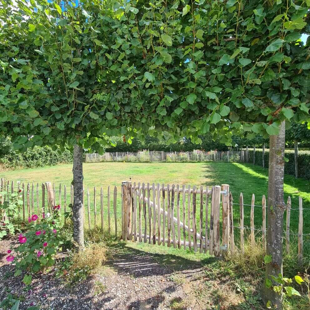 Clôture ganivielle française en bois de châtaignier de 100 cm de hauteur et avec un espacement de 10 cm. entre les lattes.