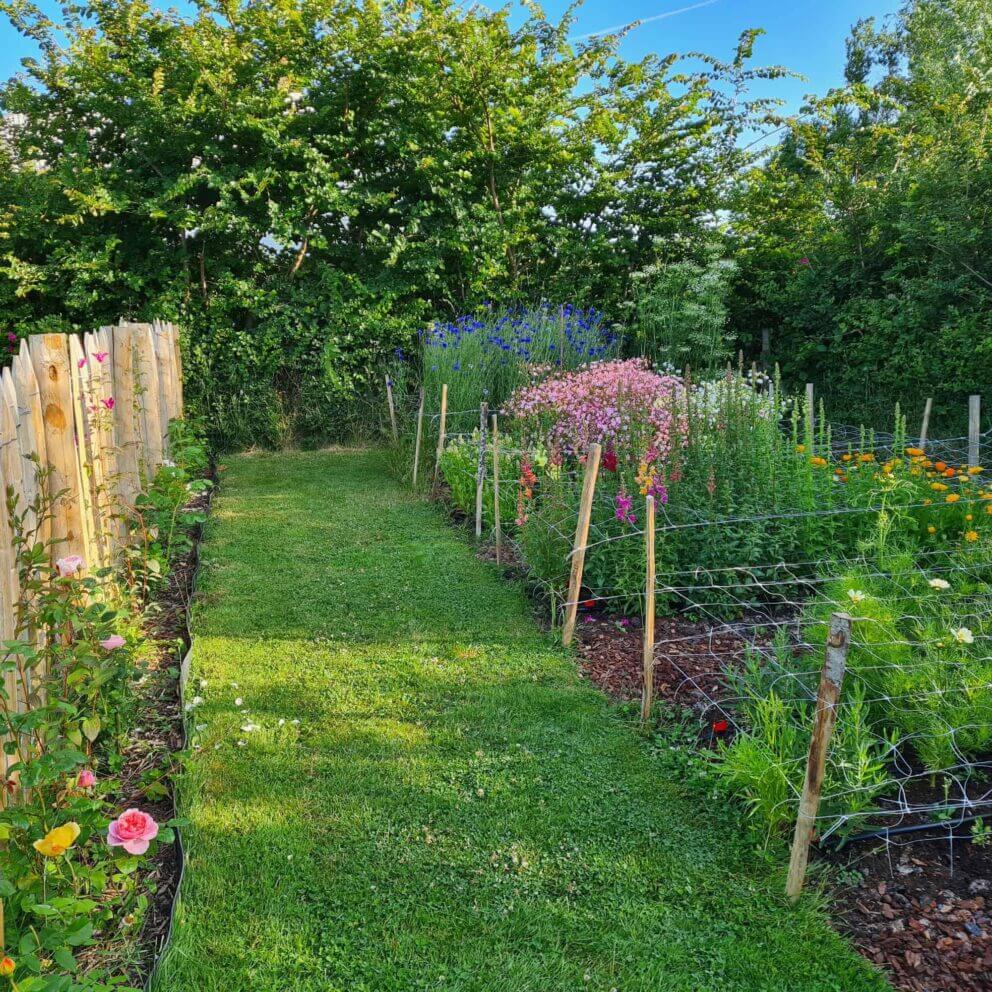 Clôture ganivielle française en bois de châtaignier de 100 cm de hauteur et avec un espacement de 10 cm. entre les lattes.