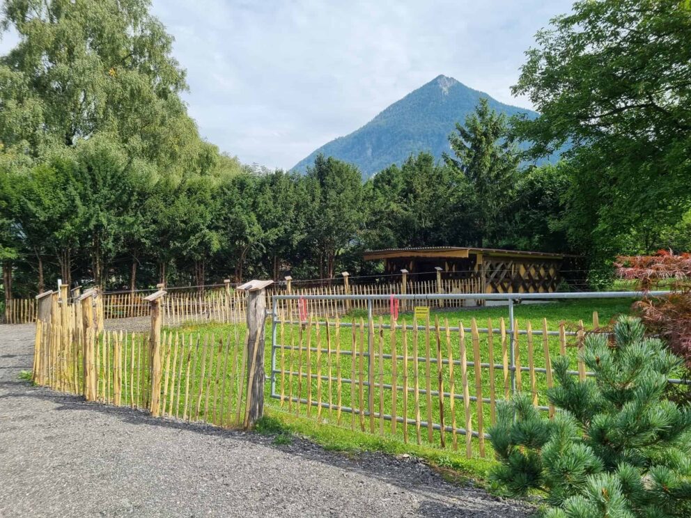 Clôture ganivielle française en bois de châtaignier de 100 cm de hauteur et avec un espacement de 10 cm. entre les lattes.