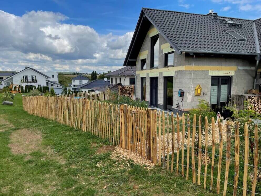 Clôture ganivielle française en bois de châtaignier de 100 cm de hauteur et avec un espacement de 6 cm. entre les lattes.