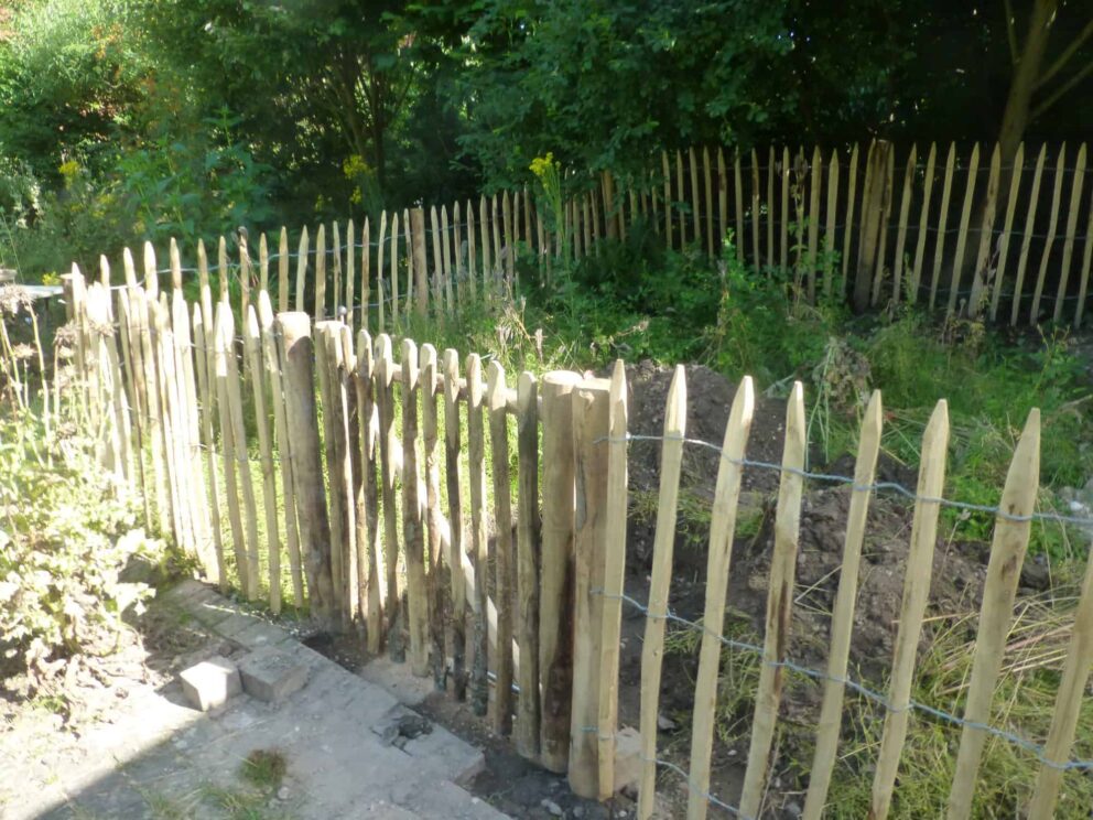 Clôture ganivielle française en bois de châtaignier de 100 cm de hauteur et avec un espacement de 8 cm. entre les lattes.