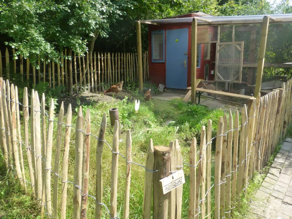 Clôture ganivielle française en bois de châtaignier de 100 cm de hauteur et avec un espacement de 8 cm. entre les lattes.