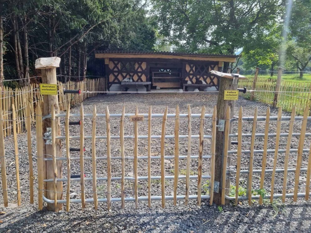 Clôture ganivielle française en bois de châtaignier de 100 cm de hauteur et avec un espacement de 10 cm. entre les lattes.