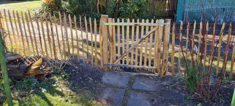 Clôture ganivielle française en bois de châtaignier de 100 cm de hauteur et avec un espacement de 6 cm. entre les lattes.