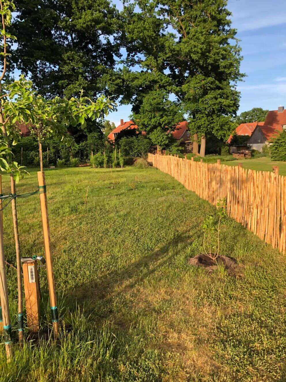 Clôture ganivielle française en bois de châtaignier de 120 cm de hauteur et avec un espacement de 4 cm. entre les lattes.