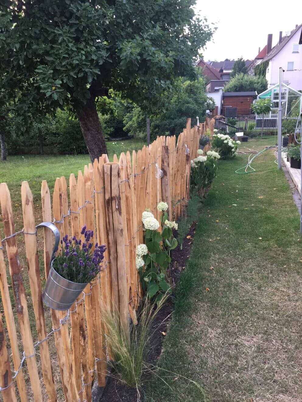 Clôture ganivielle française en bois de châtaignier de 120 cm de hauteur et avec un espacement de 4 cm. entre les lattes.