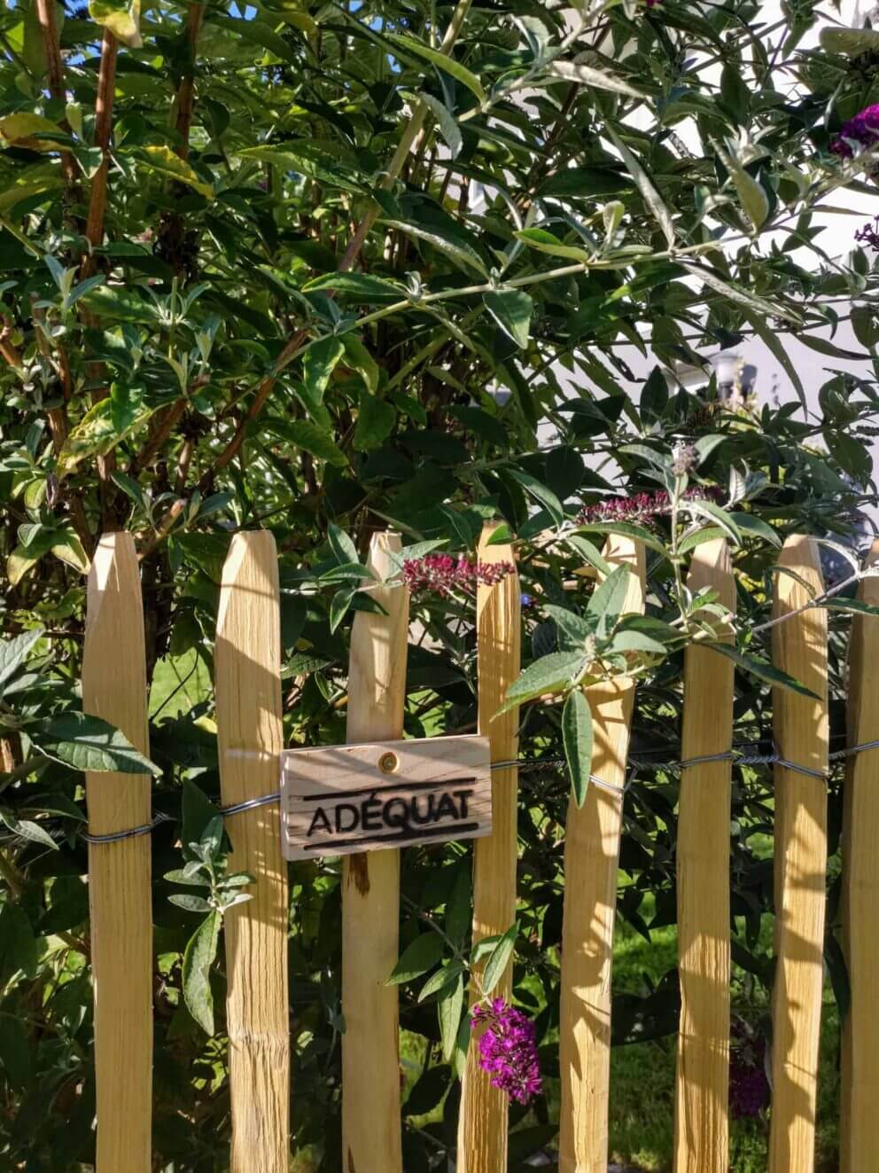 Clôture ganivielle française en bois de châtaignier de 120 cm de hauteur et avec un espacement de 4 cm. entre les lattes.