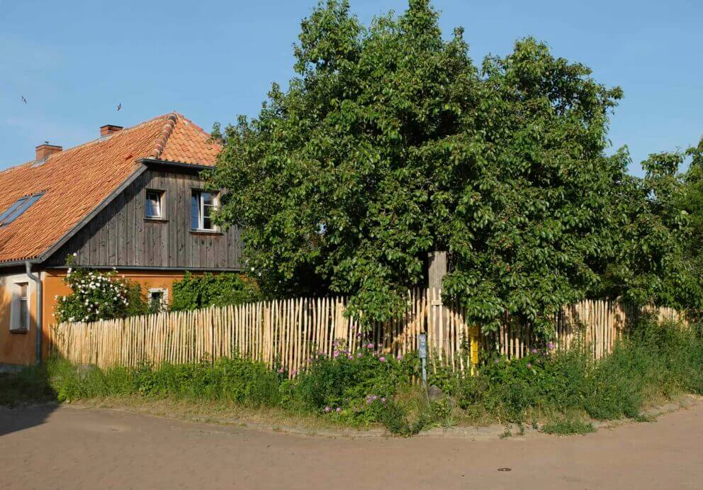 Clôture ganivielle française en bois de châtaignier de 120 cm de hauteur et avec un espacement de 4 cm. entre les lattes.