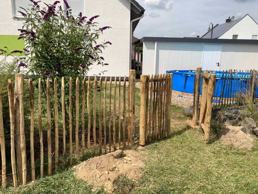 Clôture ganivielle française en bois de châtaignier de 120 cm de hauteur et avec un espacement de 6 cm. entre les lattes.