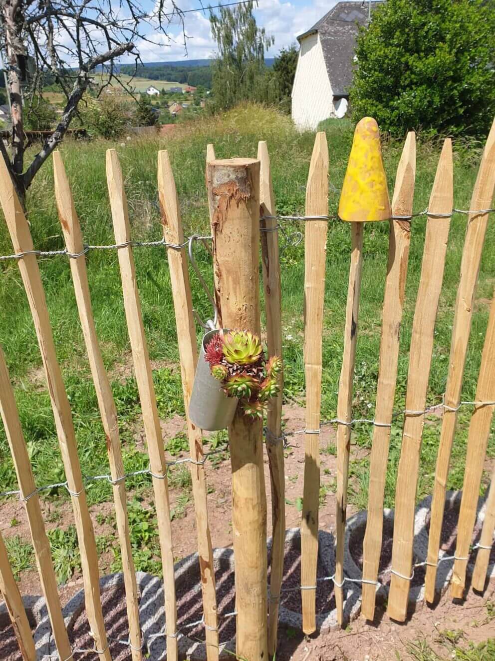 Clôture ganivielle française en bois de châtaignier de 120 cm de hauteur et avec un espacement de 4 cm. entre les lattes.