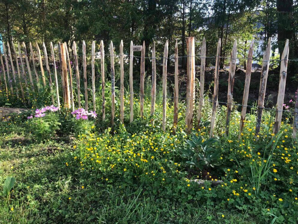 Clôture ganivielle française en bois de châtaignier de 120 cm de hauteur et avec un espacement de 10 cm. entre les lattes.