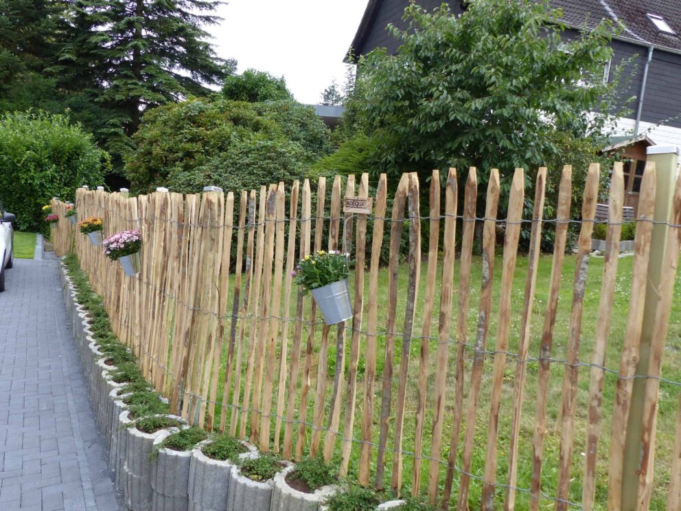 Clôture ganivielle française en bois de châtaignier de 120 cm de hauteur et avec un espacement de 4 cm. entre les lattes.