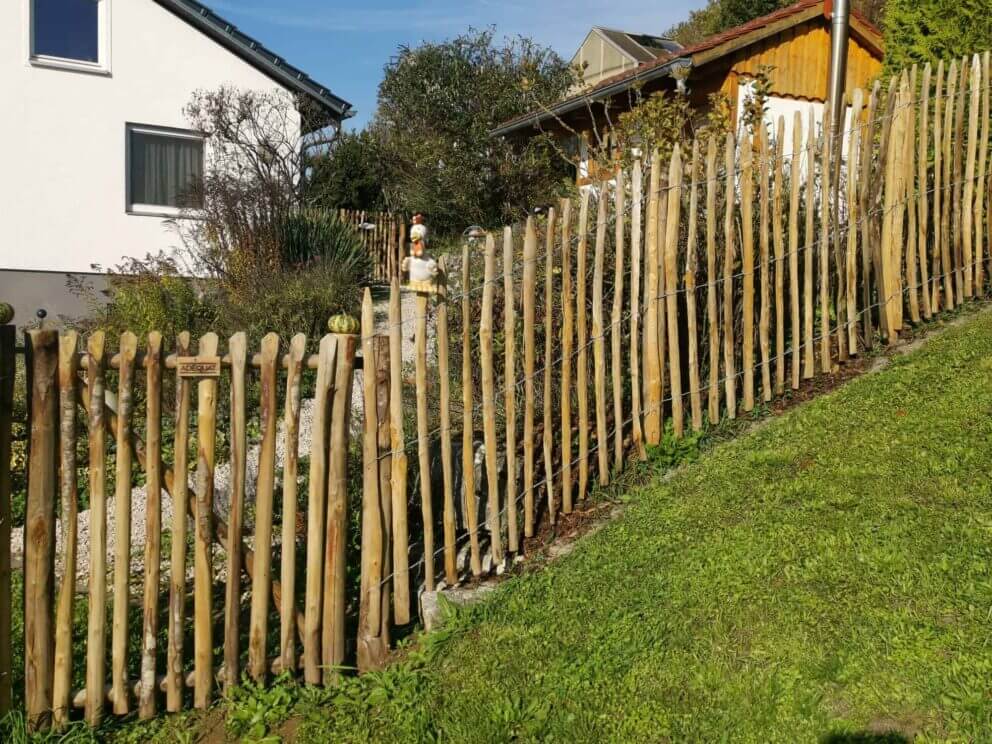 Clôture ganivielle française en bois de châtaignier de 120 cm de hauteur et avec un espacement de 6 cm. entre les lattes.