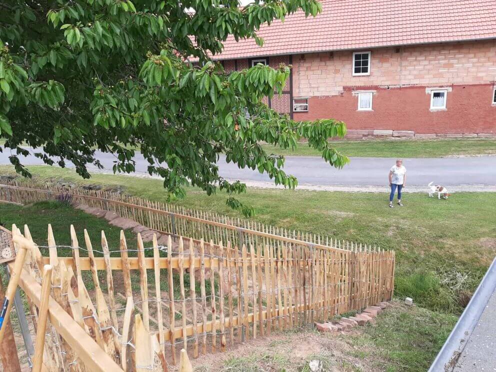 Clôture ganivielle française en bois de châtaignier de 100 cm de hauteur et avec un espacement de 10 cm. entre les lattes.