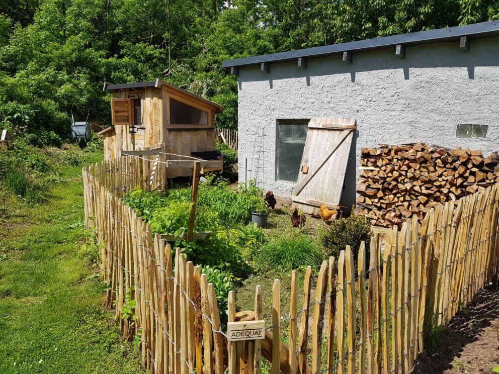 Clôture ganivielle française en bois de châtaignier de 100 cm de hauteur et avec un espacement de 6 cm. entre les lattes. Autour du poulailler.