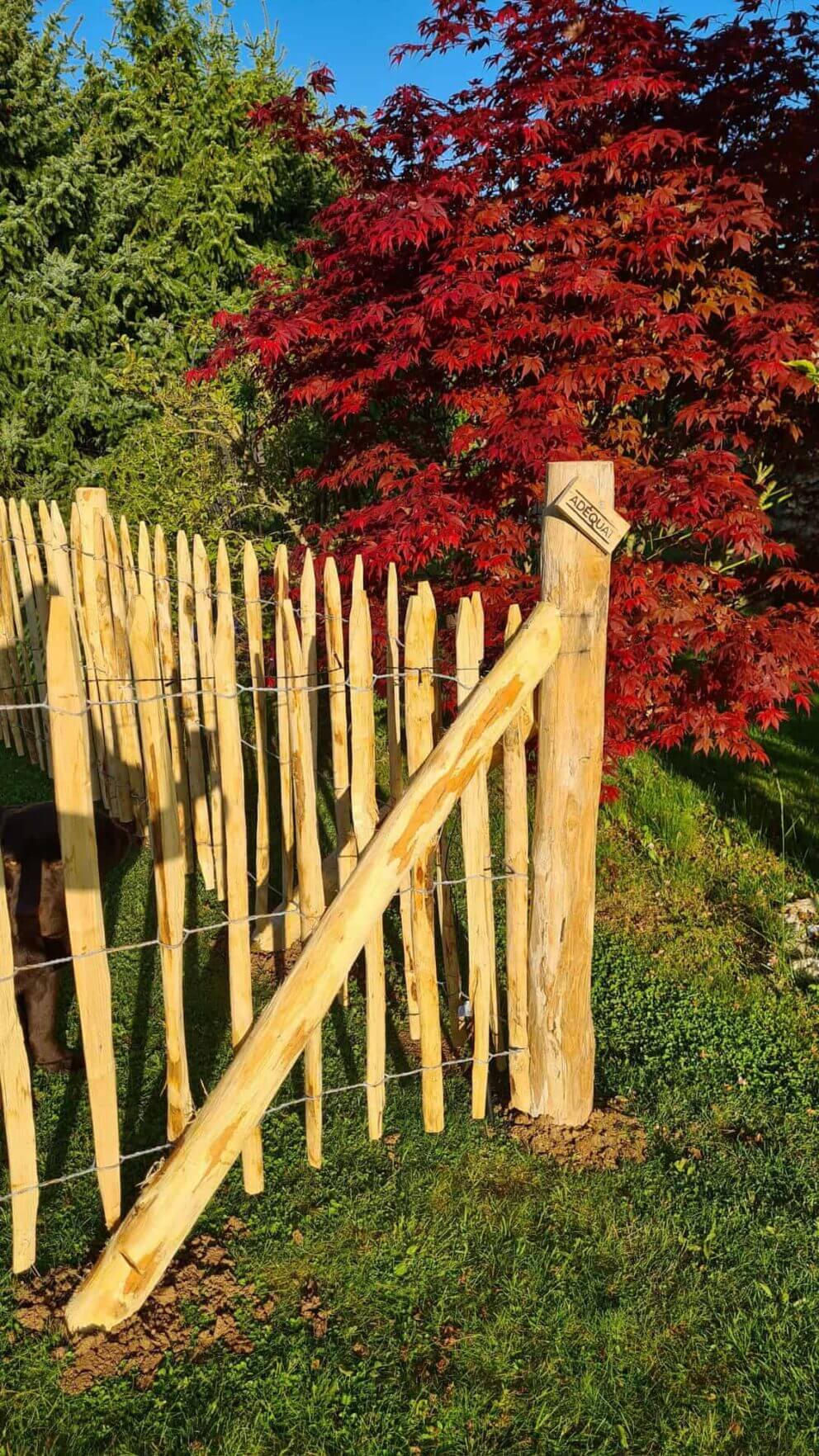 Clôture ganivielle française en bois de châtaignier de 100 cm de hauteur et avec un espacement de 8 cm. entre les lattes.