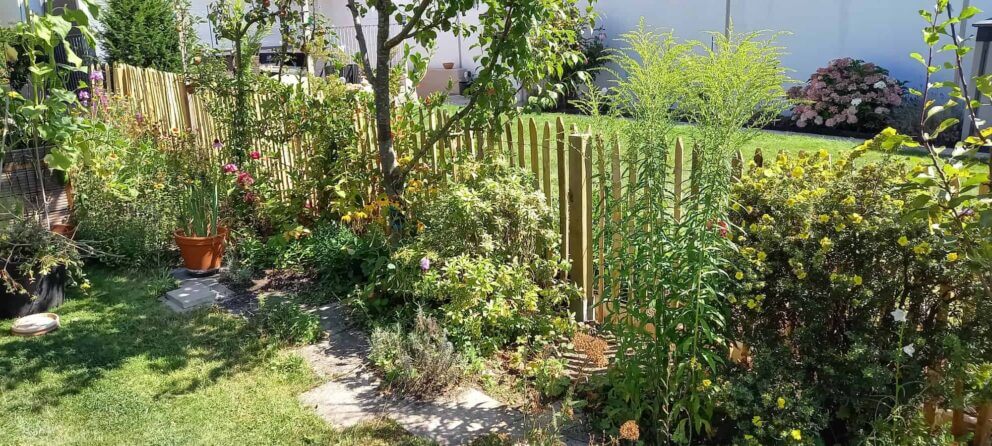 Clôture ganivielle française en bois de châtaignier de 100 cm de hauteur et avec un espacement de 4 cm. entre les lattes.