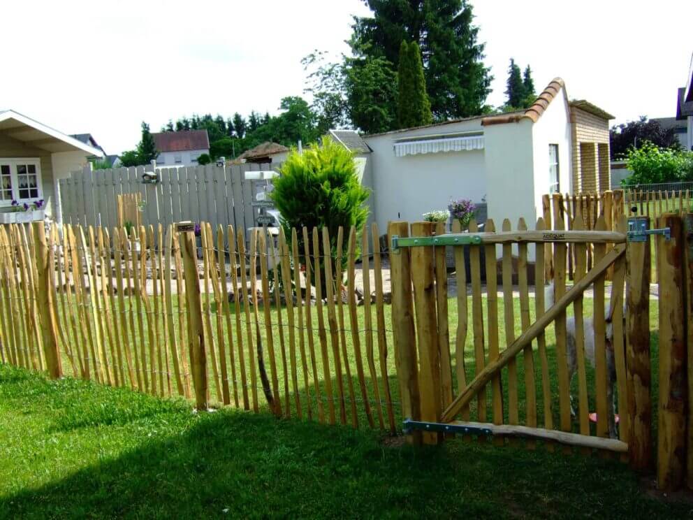 Clôture ganivielle française en bois de châtaignier de 120 cm de hauteur et avec un espacement de 4 cm. entre les lattes.