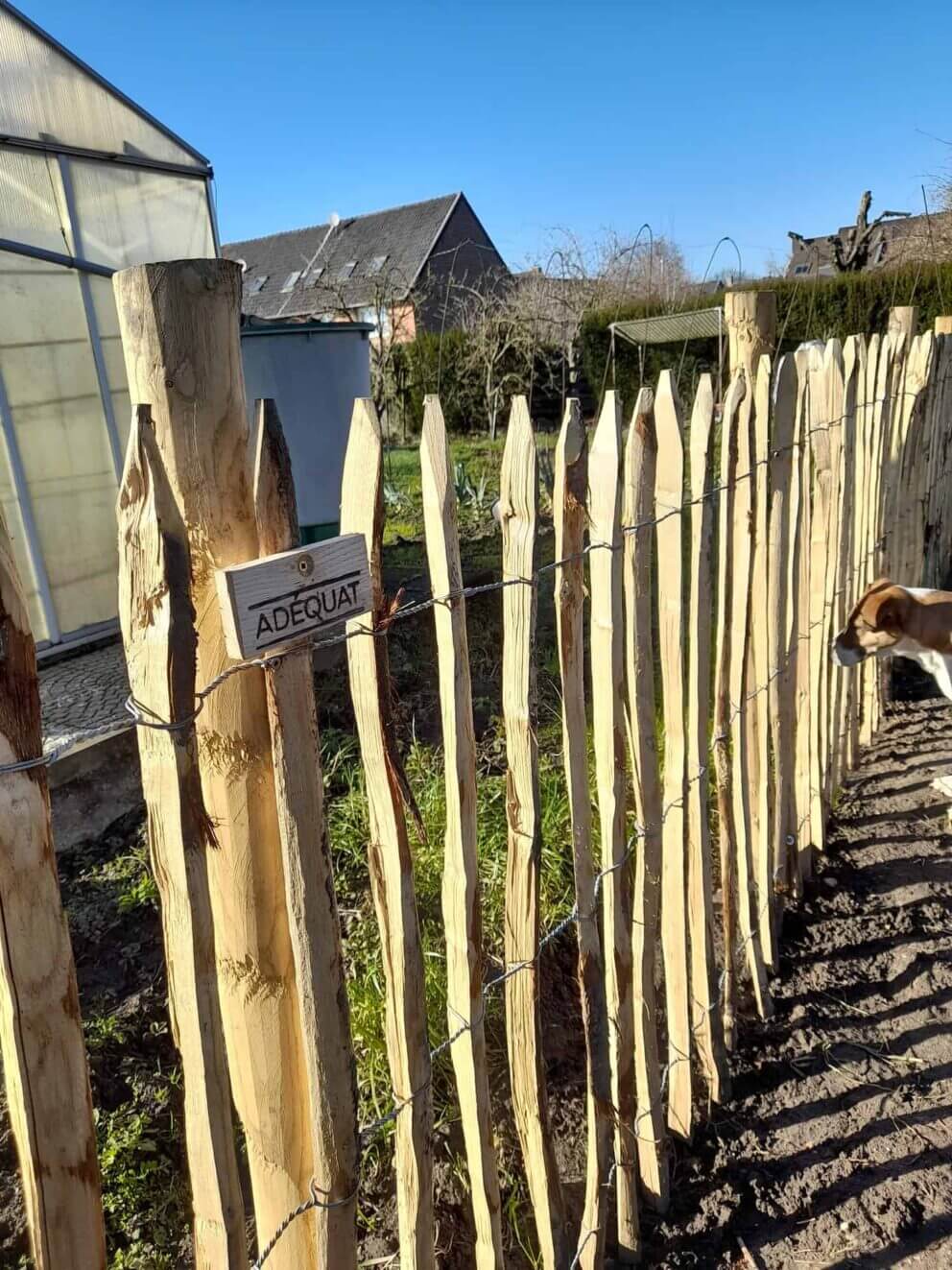 Clôture ganivielle française en bois de châtaignier de 120 cm de hauteur et avec un espacement de 8 cm. entre les lattes.