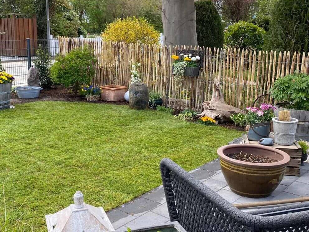 Clôture ganivielle française en bois de châtaignier de 120 cm de hauteur et avec un espacement de 2 cm. entre les lattes.