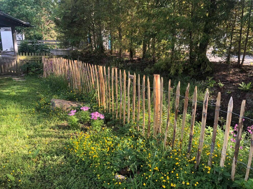 Clôture ganivielle française en bois de châtaignier de 120 cm de hauteur et avec un espacement de 10 cm. entre les lattes.