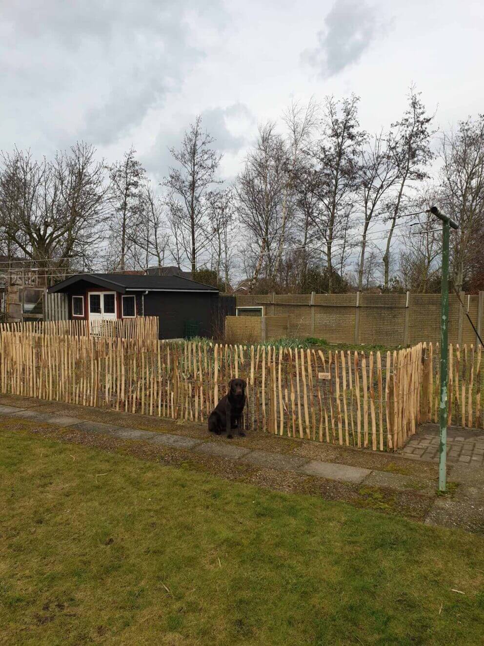 Clôture ganivielle française en bois de châtaignier de 100 cm de hauteur et avec un espacement de 4 cm. entre les lattes.