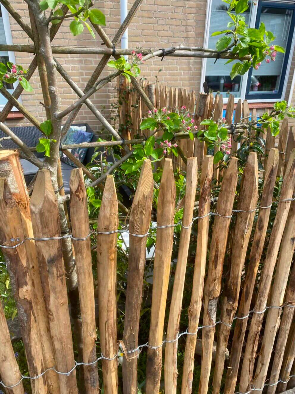 Clôture ganivielle française en bois de châtaignier de 120 cm de hauteur et avec un espacement de 2 cm. entre les lattes.