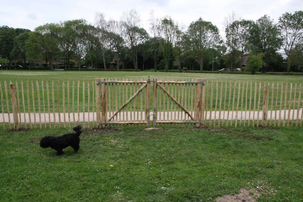 Clôture ganivielle française en bois de châtaignier de 100 cm de hauteur et avec un espacement de 8 cm. entre les lattes.