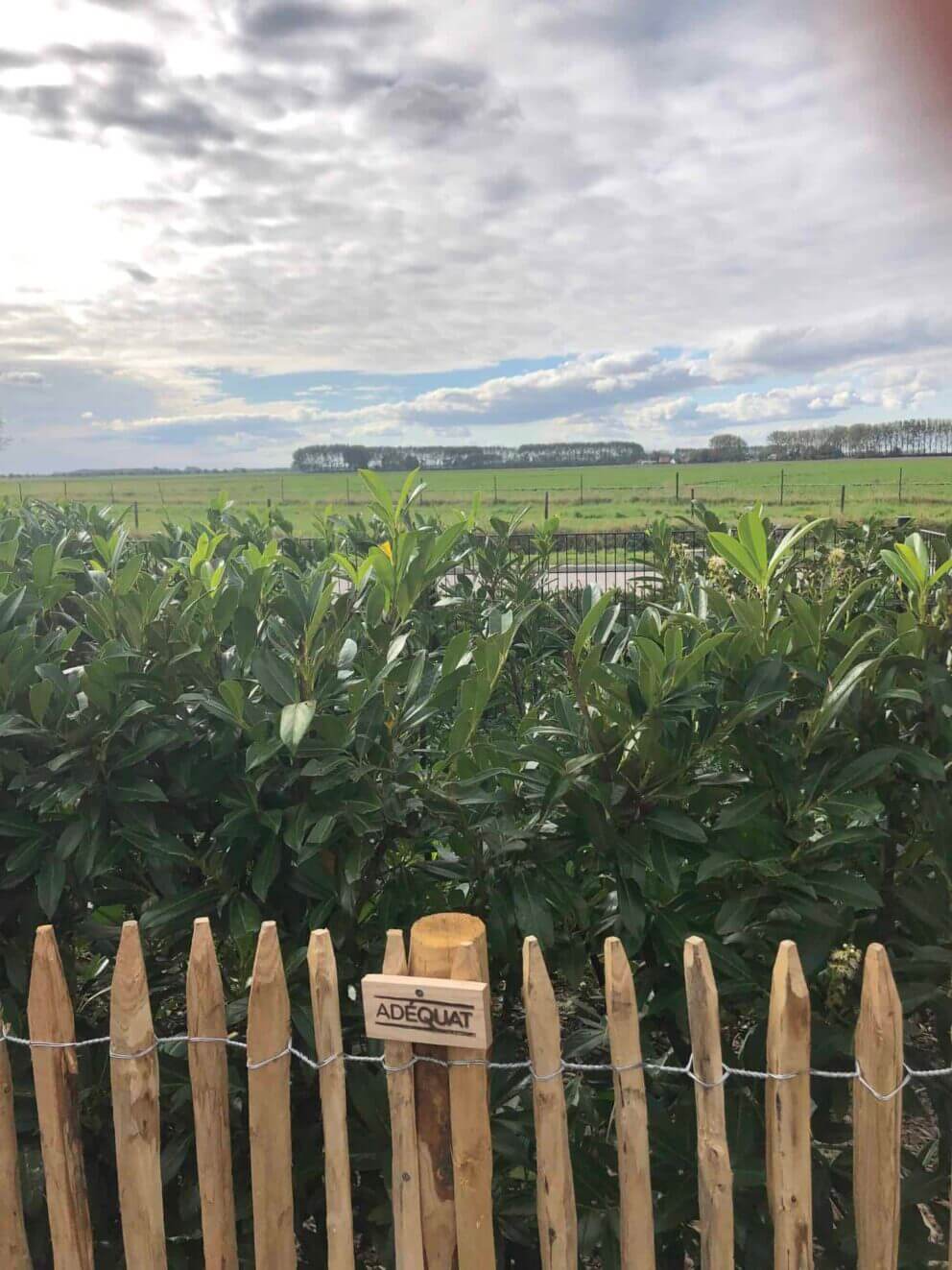 Clôture ganivielle française en bois de châtaignier de 100 cm de hauteur et avec un espacement de 4 cm. entre les lattes.