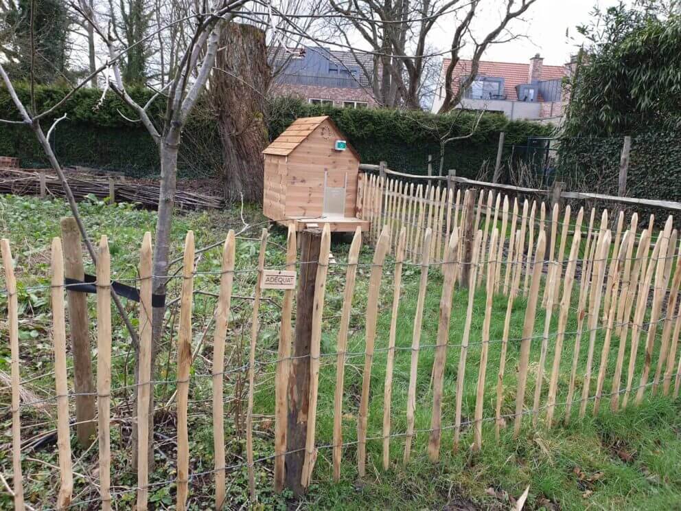 Clôture ganivielle française en bois de châtaignier de 100 cm de hauteur et avec un espacement de 8 cm. entre les lattes. Autour du poulailler.