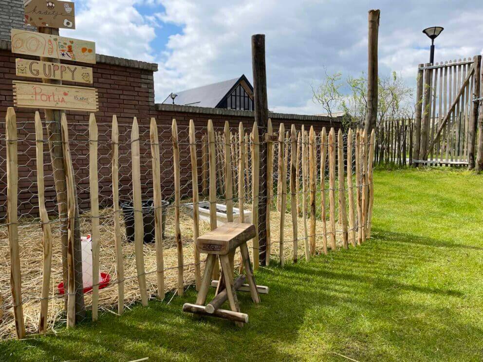 Clôture ganivielle française en bois de châtaignier de 100 cm de hauteur et avec un espacement de 8 cm. entre les lattes.