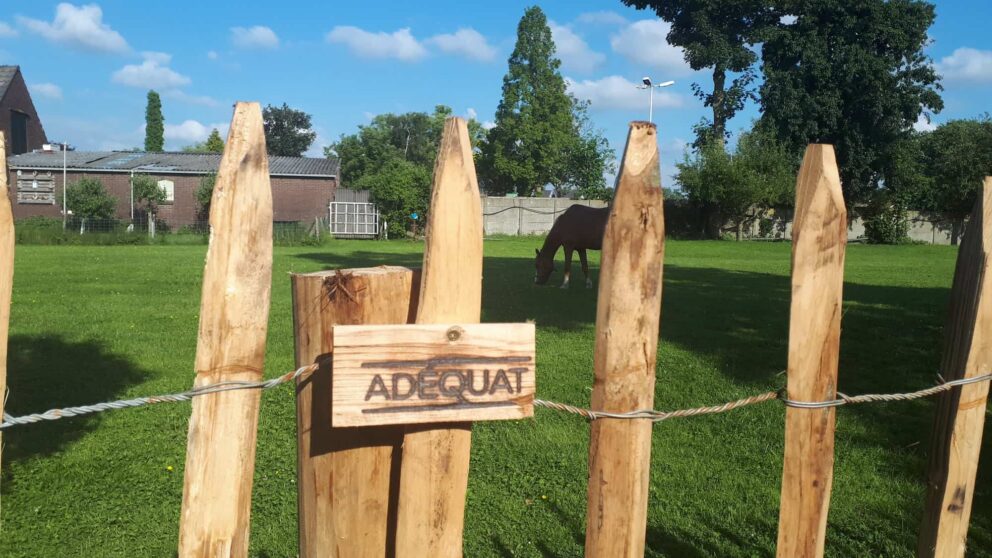 Clôture ganivielle française en bois de châtaignier de 100 cm de hauteur et avec un espacement de 10 cm. entre les lattes.