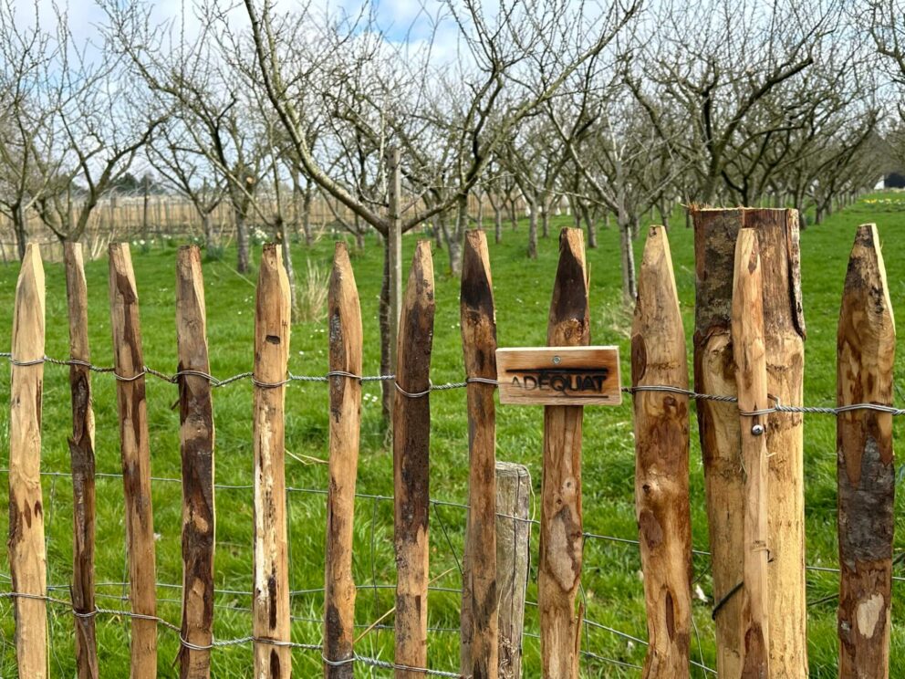 Clôture ganivielle française en bois de châtaignier de 100 cm de hauteur et avec un espacement de 6 cm. entre les lattes.