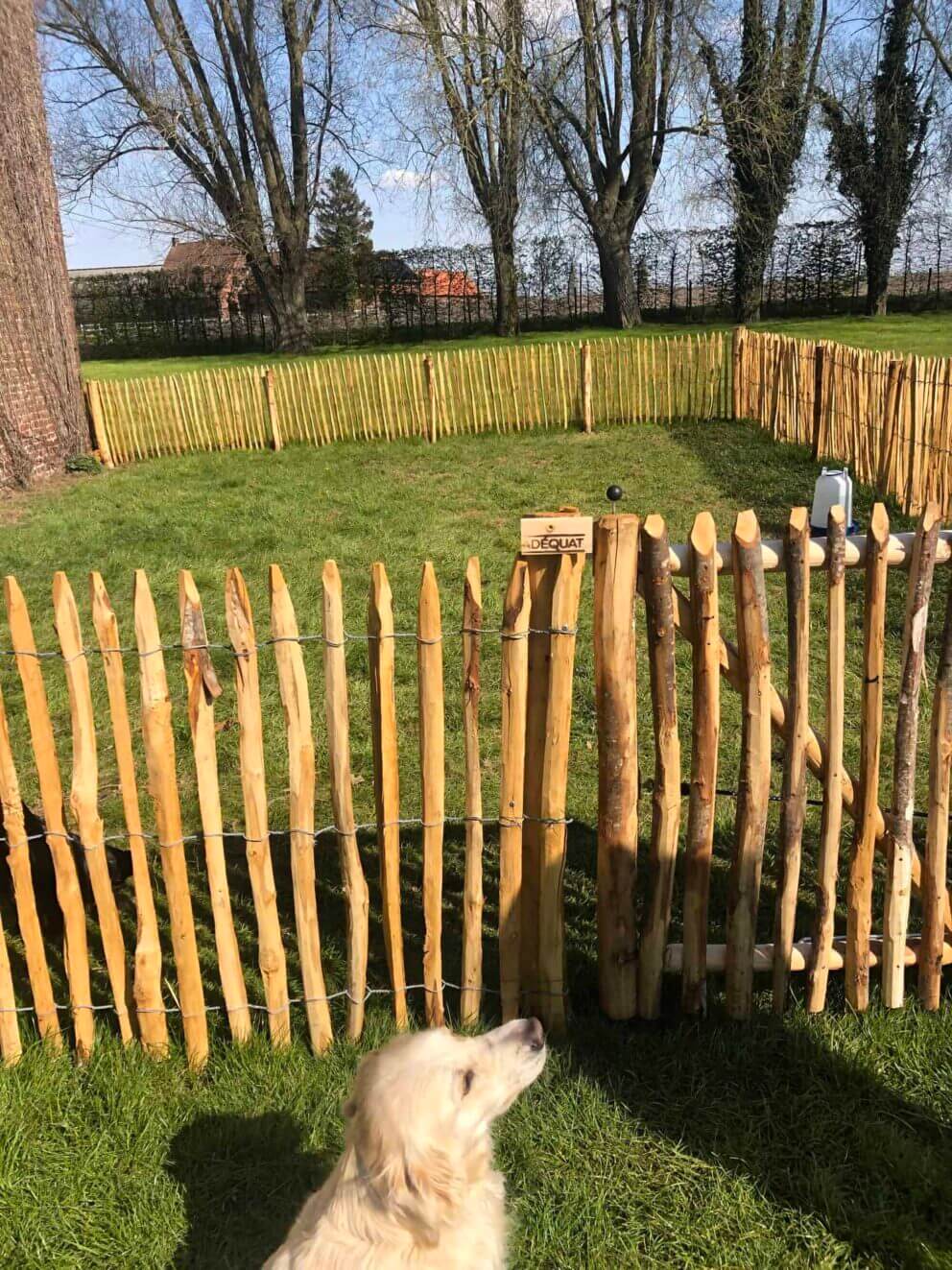 Clôture ganivielle française en bois de châtaignier de 100 cm de hauteur et avec un espacement de 4 cm. entre les lattes.