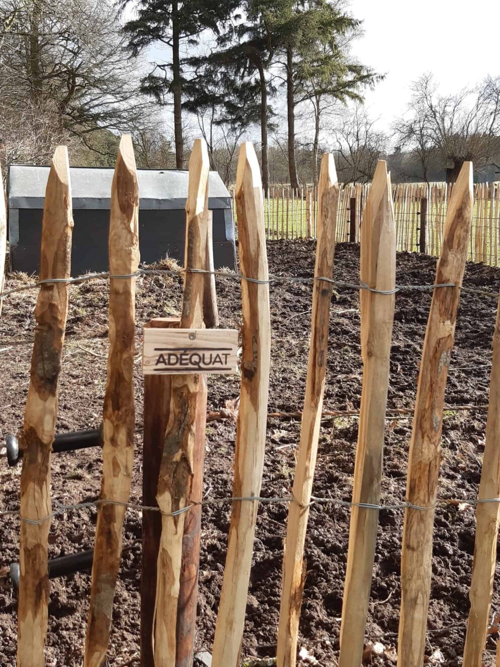 Clôture ganivielle française en bois de châtaignier de 100 cm de hauteur et avec un espacement de 6 cm. entre les lattes.