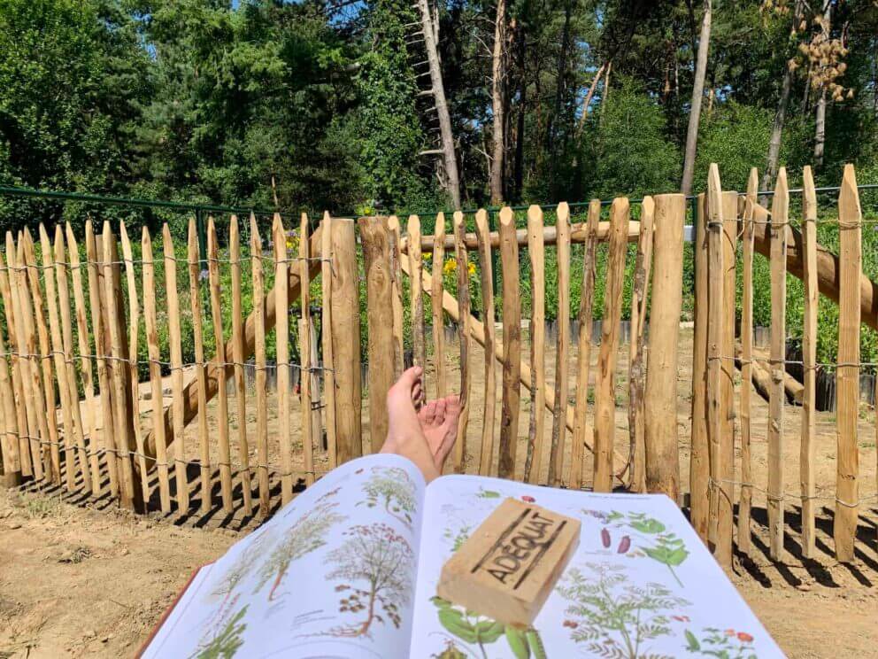 Clôture ganivielle française en bois de châtaignier de 100 cm de hauteur et avec un espacement de 4 cm. entre les lattes.