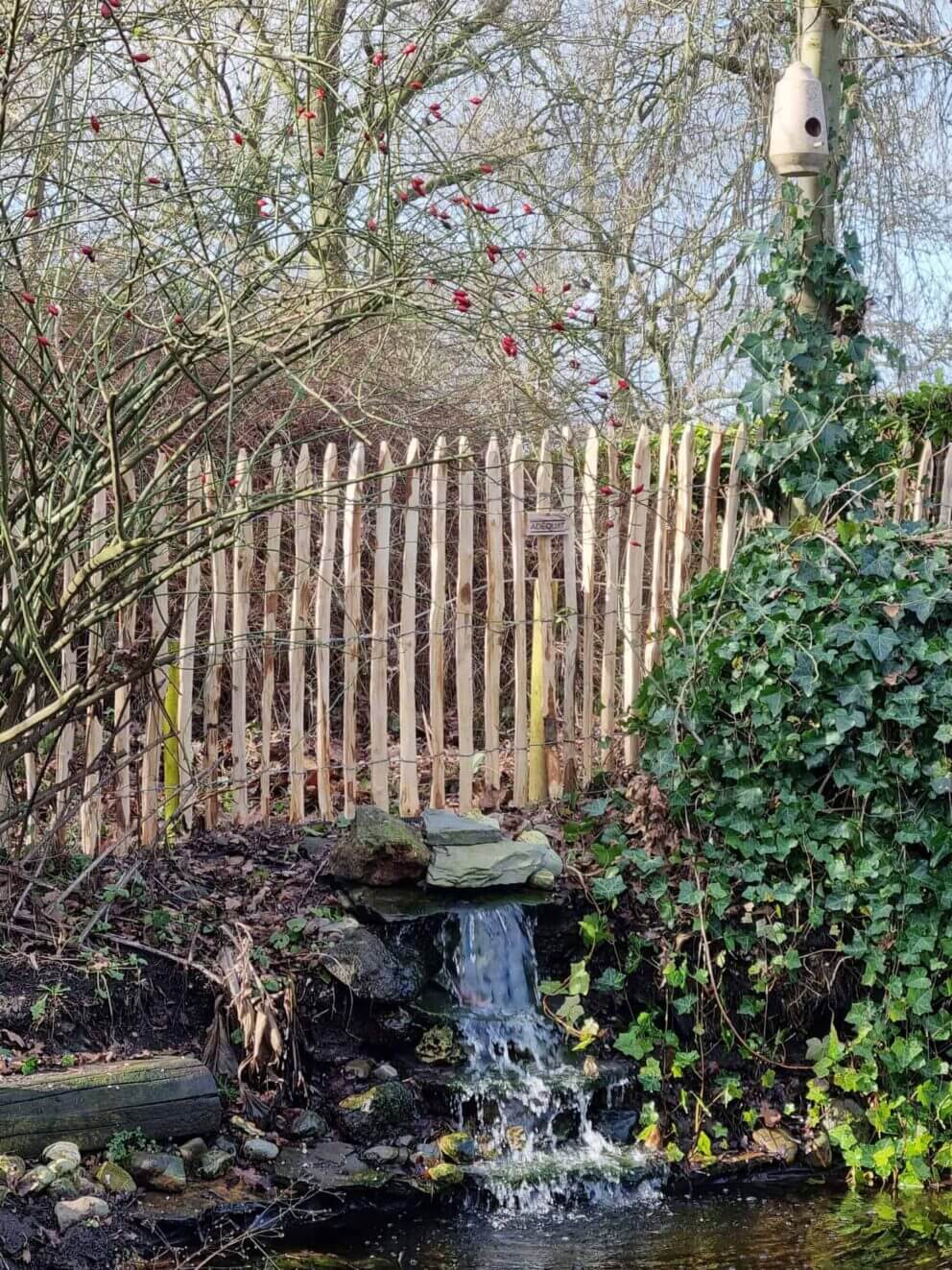 Clôture ganivielle française en bois de châtaignier de 100 cm de hauteur et avec un espacement de 4 cm. entre les lattes.