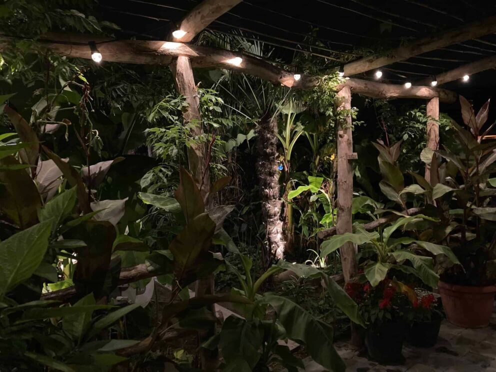 Clôture ganivielle française en bois de châtaignier de 100 cm de hauteur et avec un espacement de 8 cm. entre les lattes.