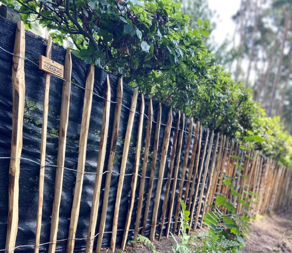 Clôture ganivielle française en bois de châtaignier de 120 cm de hauteur et avec un espacement de 10 cm. entre les lattes.